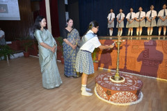 MSP_4034