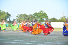 DSC6201