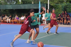 Basketball Championship