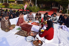 Birth Anniversary of Patron