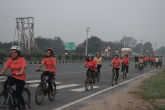 Cycling Jaunt