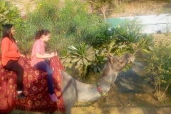 Delhi-Agra trip- Class 4