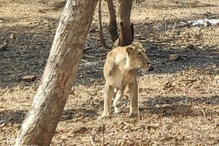 gujarat_trip4