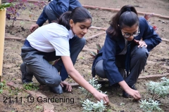 Gardening 21 Nov (1)