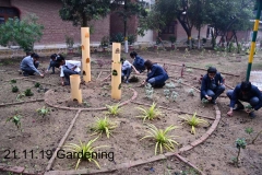 Gardening 21 Nov (2)