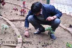Gardening 21 Nov (3)