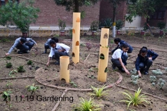 Gardening 21 Nov (4)