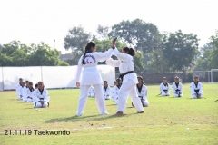 Martial Art (1)