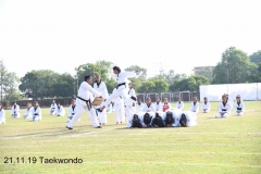 Martial Art (2)
