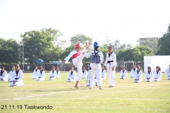 Martial Art (3)