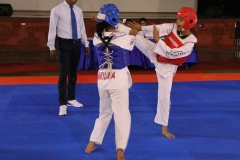 IMG_4925-(1)