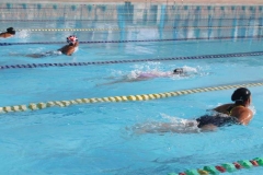 Ipsc-Swimming
