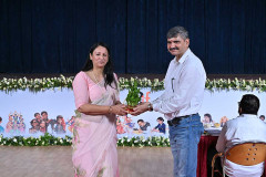 MSP_1331