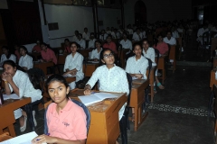 Logophilia Workshop and Video Conference