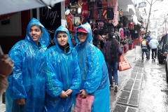 Manali Trekking (16)