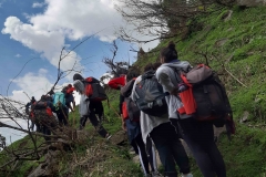 Manali Trekking (20)