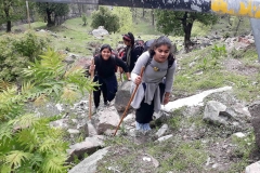 Manali Trekking (22)