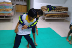 Martial Art and Cyber Safety workshops