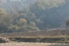 Rani Chauri trip - Class 8