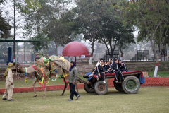 Winter Carnival 2023